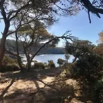 Casaanita