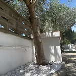 Casaanita