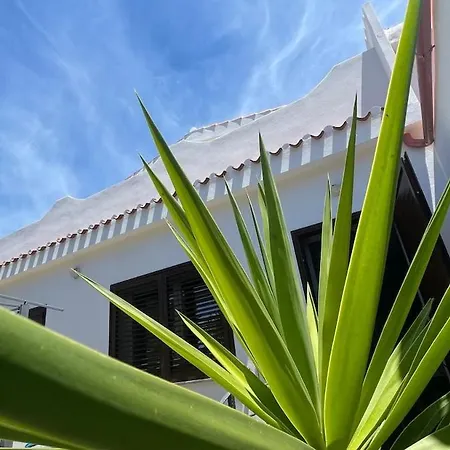Casaanita *
