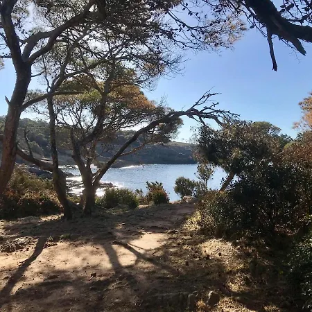 Casaanita