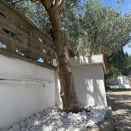 Casaanita